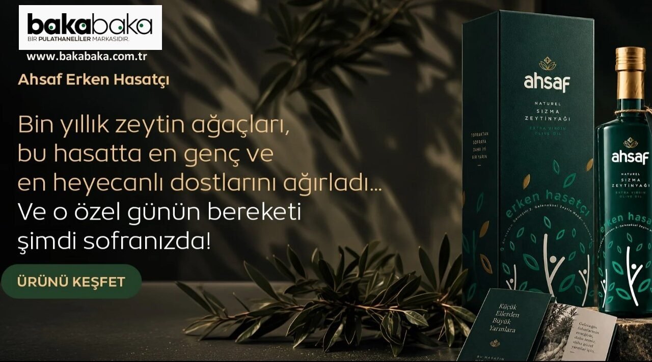 Ekonomik Ambalaj Zeytinyağı 5 Lt Teneke